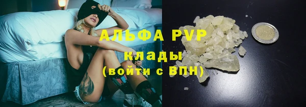 стафф Богданович