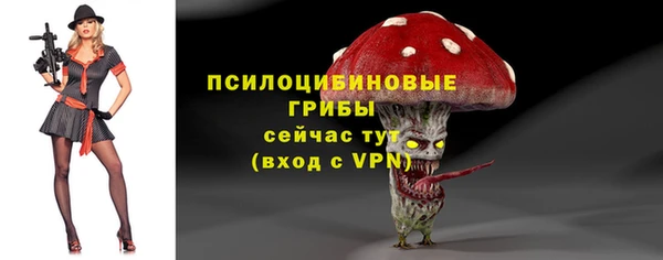 гидра Беломорск